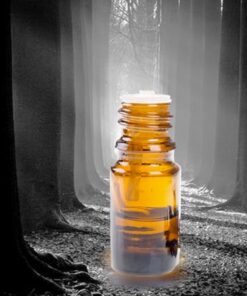 AMBER KASHMIR