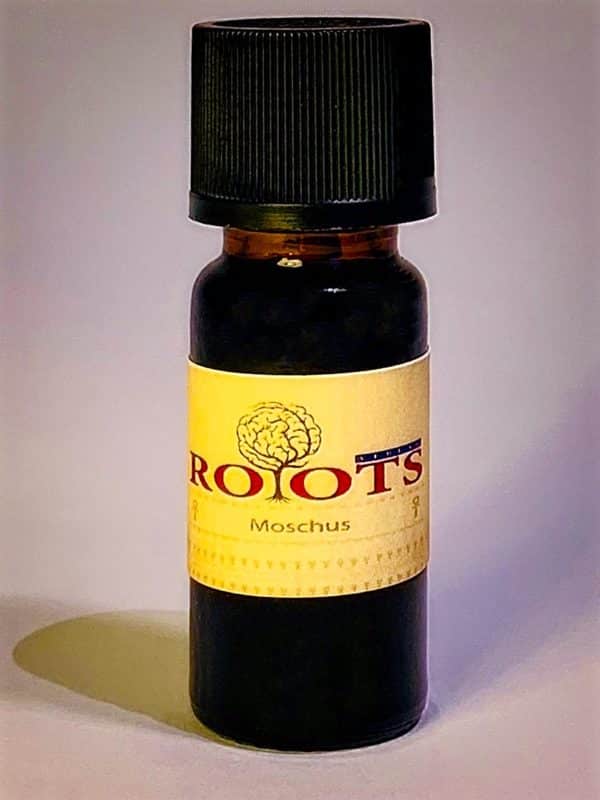 Roots