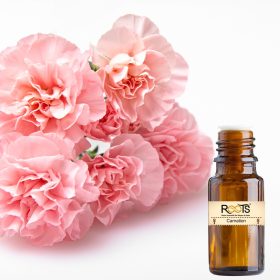 13. Chakra - Carnation