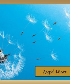 Angst - Löser "Helfer Set"