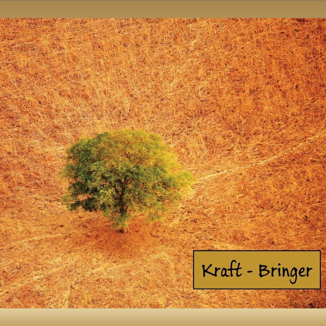 Kraft - Bringer "Helfer Set"